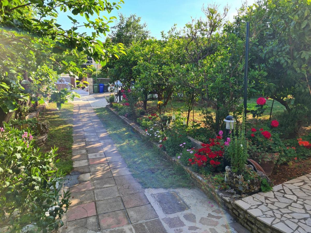 Apartments & Rooms Tom Медулин Екстериор снимка