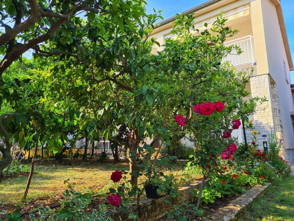 Apartments & Rooms Tom Медулин Екстериор снимка